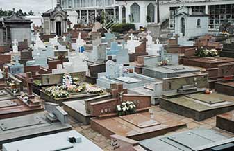 Cemitério Municipal de Araucária - Foto 1