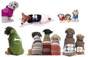 Dog Cat Pet Shop - Foto 1