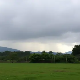 garoa fina em Araucária