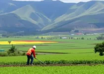 Concurso Araucária Nitrogenados