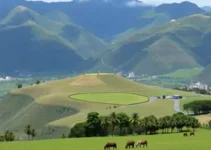 Concurso Prefeitura de Araucária PR
