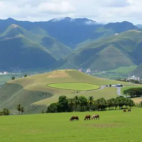Concurso Prefeitura de Araucária PR