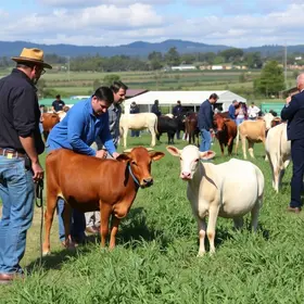 Unioeste e Seti no Show Rural