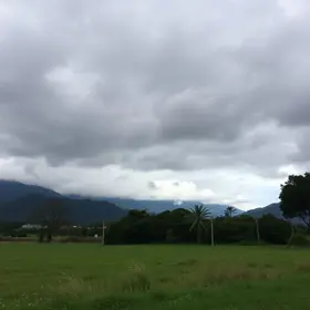 Araucária clima