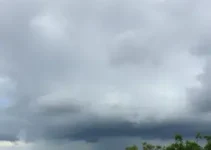 Araucária tempestades céu nublado