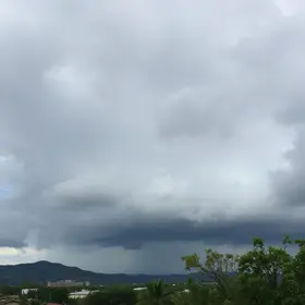 Araucária tempestades céu nublado