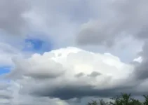 previsão do tempo Araucária