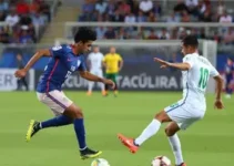 divisão de acesso do paranaense