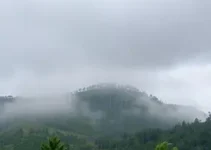 araucária previsão do tempo