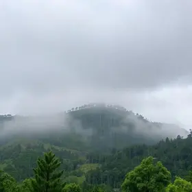 araucária previsão do tempo
