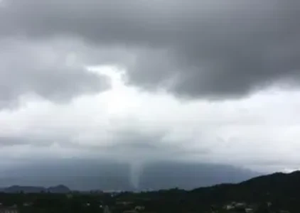 Últimas noticias de Araucária