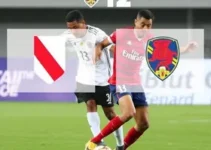 paranaense segunda divisão