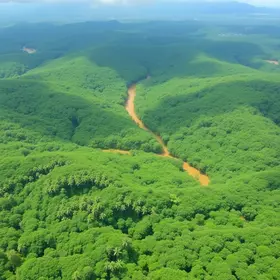 Amazônia +10