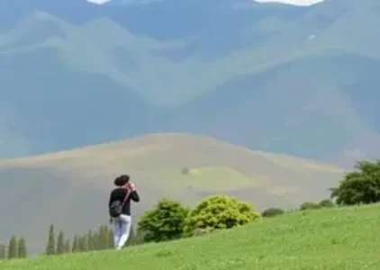 Últimas noticias de Araucária