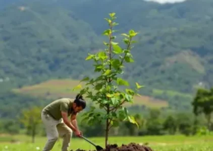 Últimas noticias de Araucária