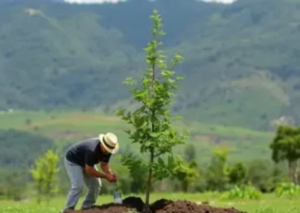 Últimas noticias de Araucária