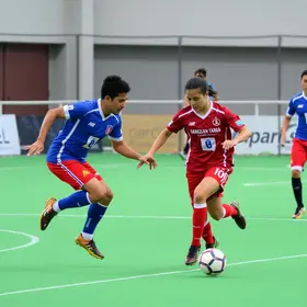 VKR Araucária Futsal