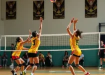 Vôlei e basquete de Araucária