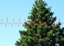 eletrocardiograma