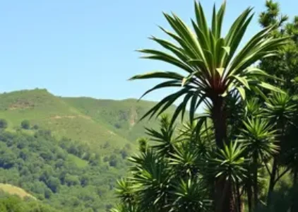 Últimas noticias de Araucária
