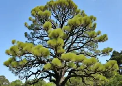 Últimas noticias de Araucária