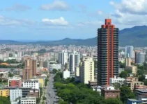 crescimento de Araucária