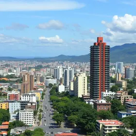 crescimento de Araucária