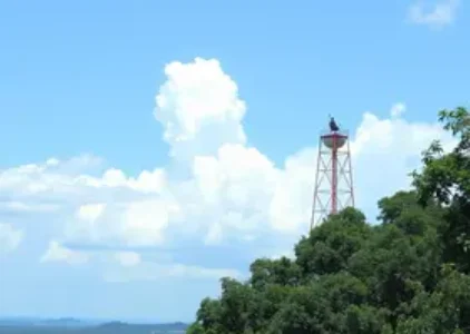 Últimas noticias de Araucária