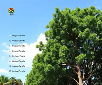 eliminadas da Copa Paraná
