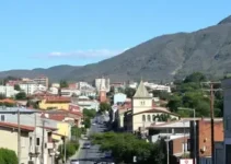 Prepara IA Araucária