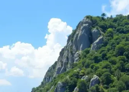 Últimas noticias de Araucária
