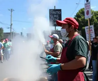 greve servidores Araucária